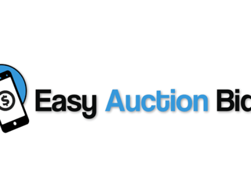 Logo Easy Auction Bids